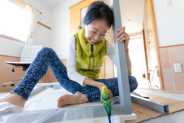 istock Japanese woman making home office with pet 1314289532