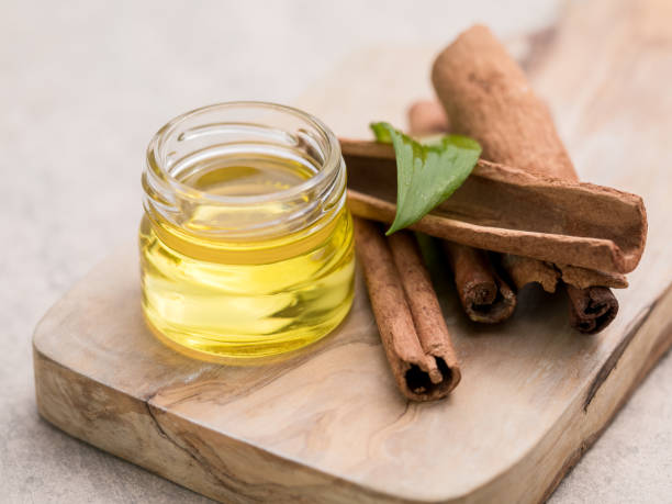 cinnamon leaf with bark and essential oil - canella imagens e fotografias de stock