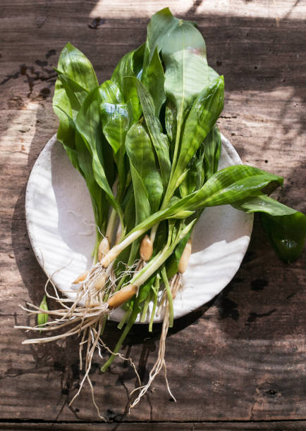 istock Raw organic green ramps or wild garlic 1314290285