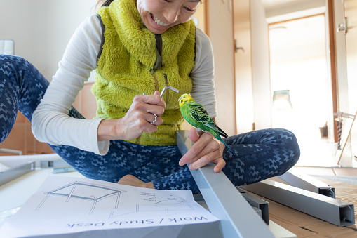 Japanese woman making home office with pet