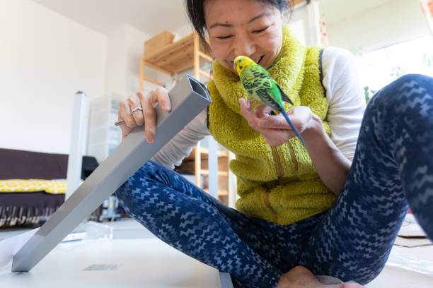 istock Japanese woman making home office with pet 1314292275