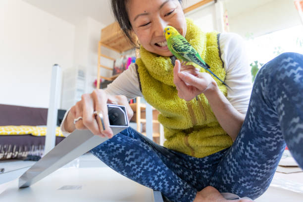 istock Japanese woman making home office with pet 1314292409