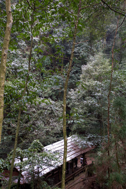 istock Visiting MT. Qingcheng in Snow day 1314294420