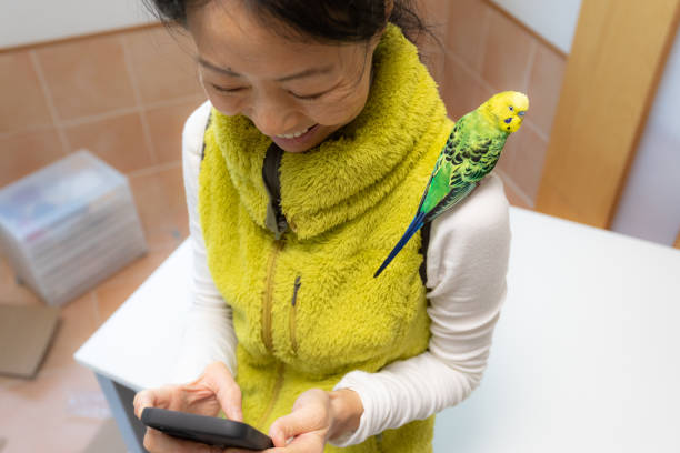istock Japanese woman making home office with pet 1314295847