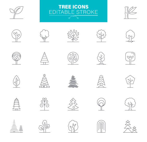 liczba edytowalnych obrysów ikon drzewa - poplar tree obrazy stock illustrations