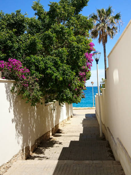 istock Flowers in the alley 1314300768