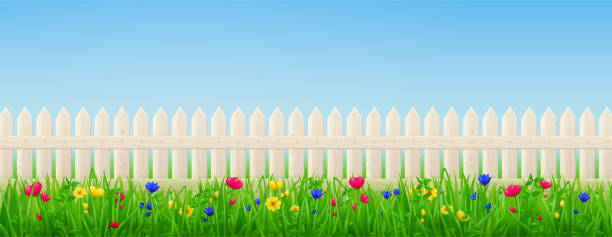 木のピケットフェンス、花と緑の草 - picket fence fence picket front or back yard点のイラスト素材／クリップアート素材／マンガ素材／アイコン素材