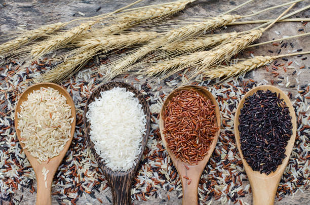グランジの背景に木製のスプーンで乾燥有機米の種子の4色 - carbohydrate rice cereal plant uncultivated ストックフォトと画像
