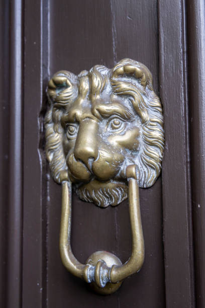 istock Brass lion door knocker 1314304667