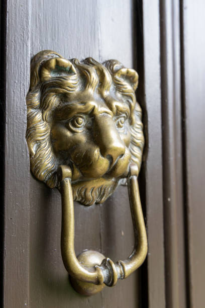 istock Brass lion door knocker 1314304759