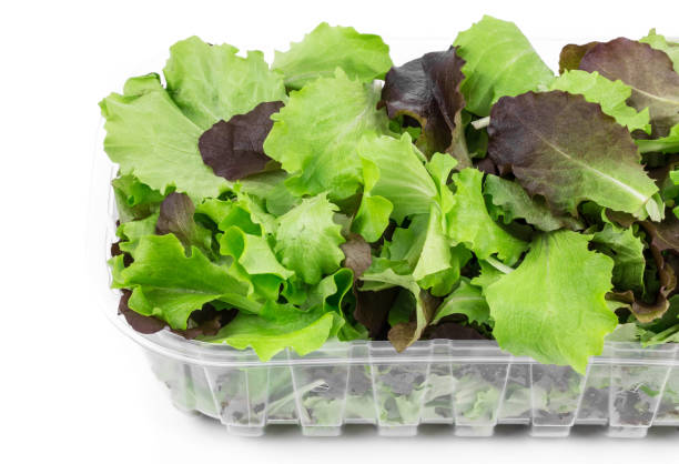 istock Green and red leaf of lettuce in a plastic box. 1314304796