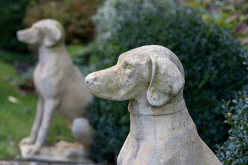 Garden ornaments dog statues made of a concrete type of material. Two hunting dogs