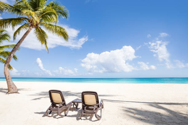 istock Beach scene with sunbeds under coconut palms 1314308514