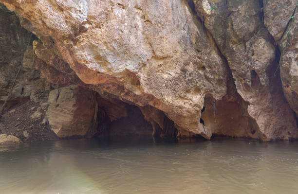 istock Natural stalactite and stalagmite rock stone cliff hang from cave ceiling in cave. Environmental explore. Landscape background. Erosion 1314309756