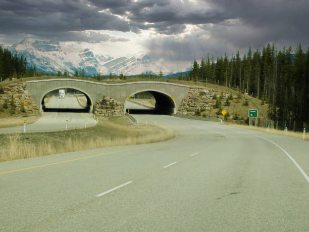 istock a lonesome road with tunnels in canada 1314310998