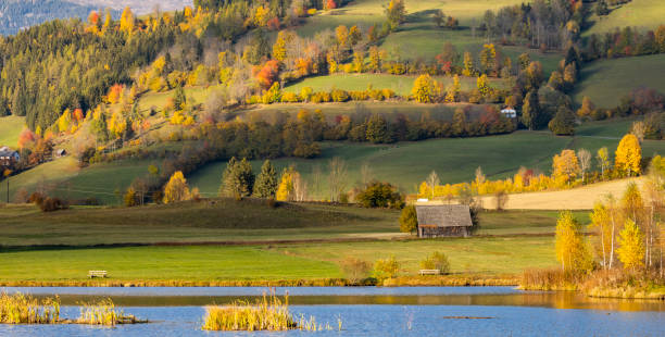 istock autumn pond under the mountains, Murau district,Styria, Austria 1314315357