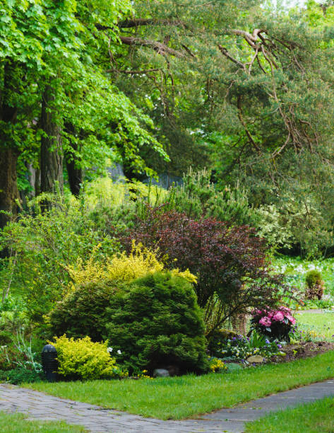 istock various ornamental shrubs in summer garden 1314315913