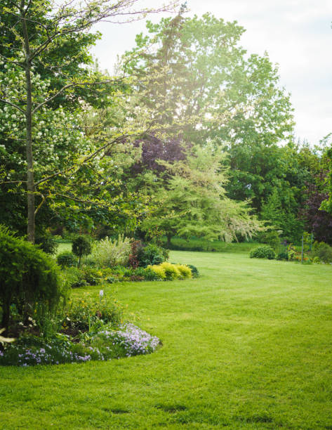 istock green ornamental garden in summer 1314316281