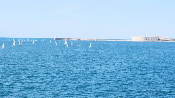 istock Windsurfing sails on the blue sea in Sevastopol, Crimea 1314318708