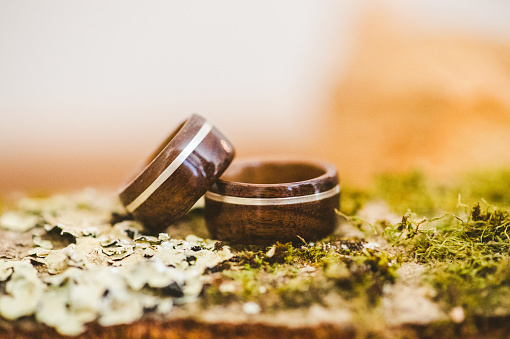 Wooden wedding rings on the moss