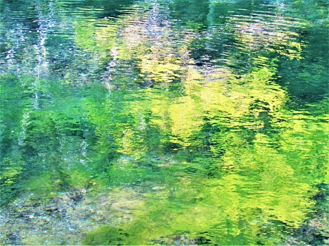 Reflection. Green background.