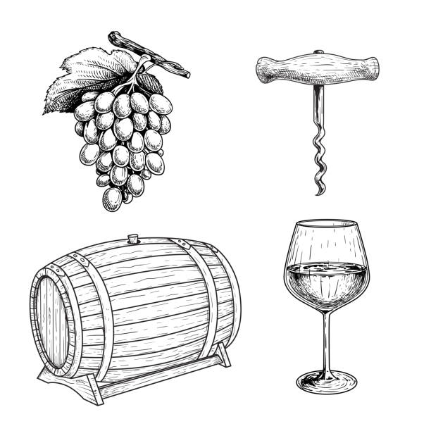 Wine sketch set. Grape, corkscrew, wine barrel or cask and glass of wine. Hand drawn vector illustrations for menu or package designs. Isolated on white background. Wine sketch set. Grape, corkscrew, wine barrel or cask and glass of wine. Hand drawn vector illustrations for menu or package designs. Isolated on white background. pen and ink stock illustrations