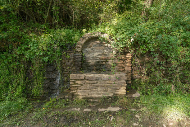 istock water fountain covered with vegetation 1314324487