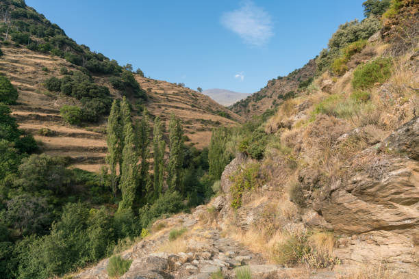 istock dirt road in the Sierra Nevada mountain 1314324543