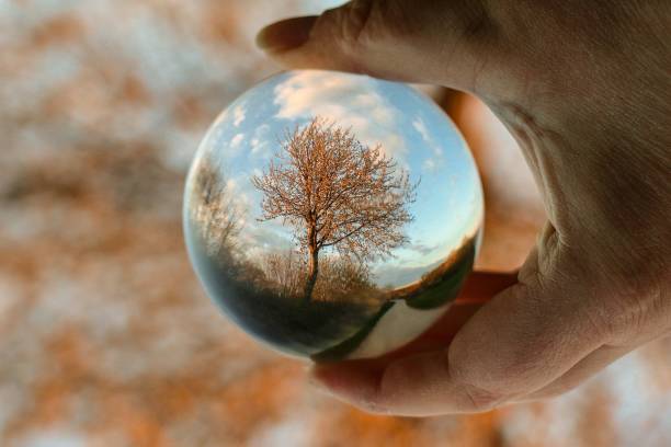 main humaine tient une boule de verre jusqu’à un arbre et cela se reflète à l’envers dans la balle - kaleidoscope planet photos et images de collection