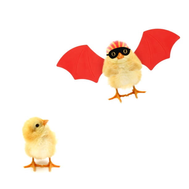 istock Two chicks one looking in other crazy chick superhero flying up with red wings trendy concept isolated on white background funny photo 1314326825