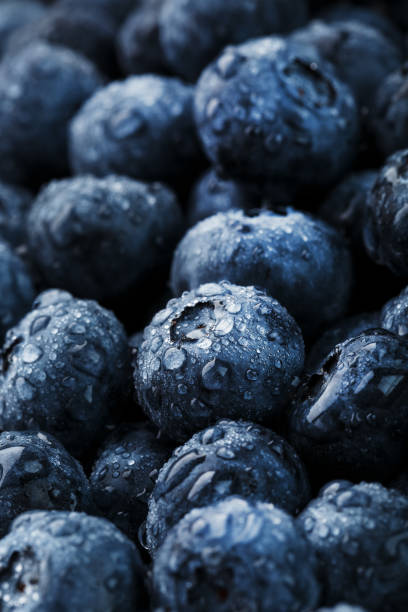 istock Blueberries close-up in full screen with dew drops. 1314327093