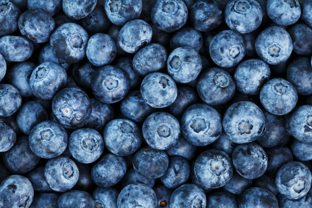 istock Blueberries in the form of a full-screen texture. 1314327650