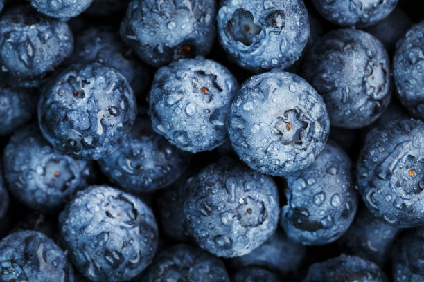 istock Juicy blueberries in the form of a full-screen texture. 1314327684