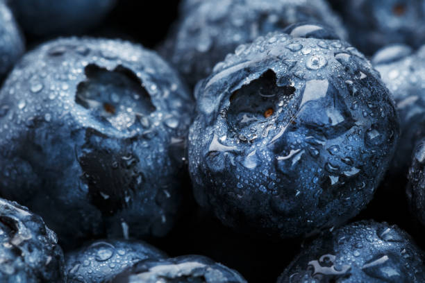 istock Blueberries close-up in full screen with dew drops. 1314327711