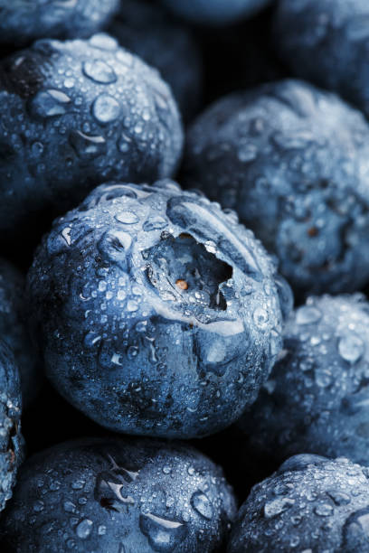 istock Blueberries close-up in full screen with dew drops. 1314327774