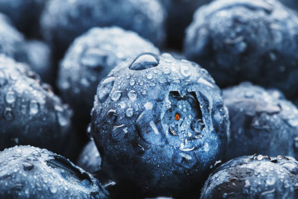 istock Blueberries close-up in full screen with dew drops. 1314327790