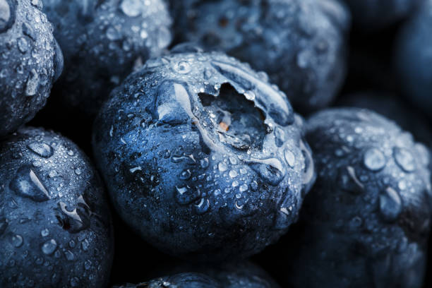 istock Blueberries close-up in full screen with dewdrops. 1314327981