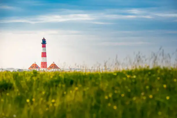 photography of the most famous red and white striped lighthouse behind a lush meadow nearby sankt peter ording, called westerhever lighthouse or westerheversand lighthouse, schleswig-holstein, germany