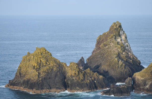 istock Islands off Kynance Cove Cornwall 1314332046
