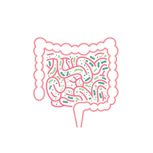 istock Lactobacillus Probiotics Icon. Normal gram-positive anaerobic microflora sign 1314333214