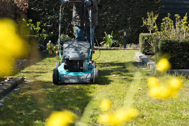 istock A person with a lawn mower in a garden. 1314333718