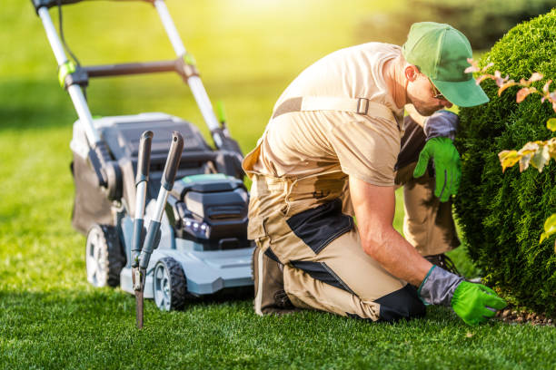 istock Gardener Mowing Grass and Cleaning Backyard Garden 1314334452