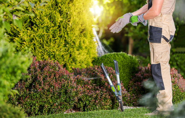 istock Professional Gardener Preparing Himself For Garden Job 1314334895