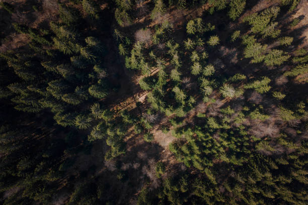 istock Large landscape photo 1314335905