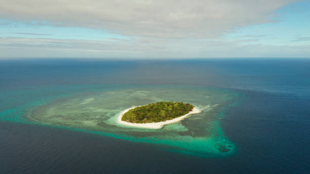 istock Tropical island with sandy beach. Mantigue Island, Philippines 1314340845