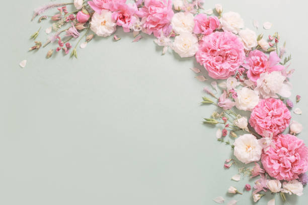 istock pink and white roses on paper background 1314341144