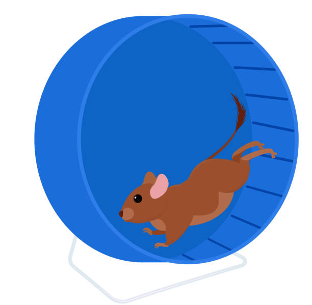 547 Rat Running Illustrations & Clip Art - iStock | Rat running away 547 Rat Running Illustrations & Clip Art - iStock | Rat running away