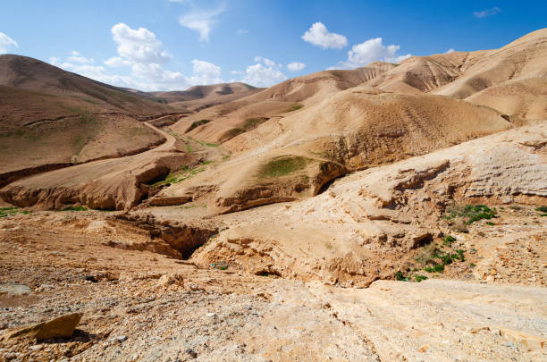 istock Desert landscape near Jerusalem, Israel. 1314349827