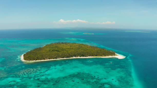 istock Tropical island with sandy beach. Balabac, Palawan, Philippines 1314349832