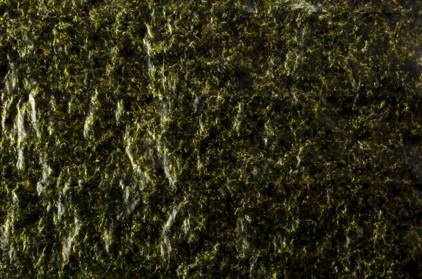 istock Japanese dried laver. Roasted seaweed background or texture 1314353568